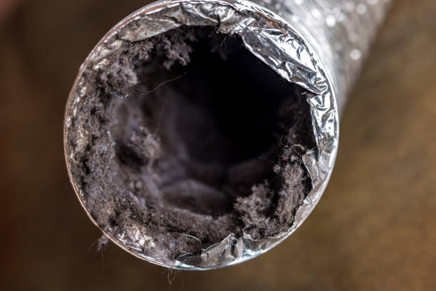 Best Air Duct Cleaning Near Me  in Blue Ridge, VA