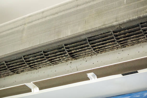 Best Professional Duct Cleaning Services  in Blue Ridge, VA